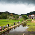 4D3N Bario Highlands Adventure