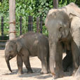 LokKawi Wildlife Park
