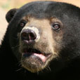 LokKawi Wildlife Park