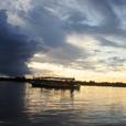 Weston Proboscis Monkey, Sunset & Fireflies Cruise