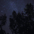 Borneo Cultural Village + Mangrove Cruise & Fireflies