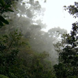 3D2N Mount Kinabalu Explorer