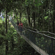 3D2N Kota Kinabalu + Kinabalu Park Heritage