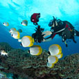 6D5N Layang Layang Island