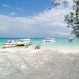 Mantanani Island + Kawa Kawa Mangrove & Fireflies