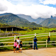 4D3N Kota Kinabalu + Kinabalu Park Heritage + Island Excursion