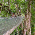 5D4N Kota Kinabalu + Nature Heritage + Island Excursion + Cultural Village + Mangroves Cruise