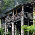 3D2N Sarawak Cultural Village + Semenggoh Orang Utan