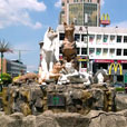 4D3N Kuching City + Bako National Park