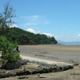 4D3N Kuching City + Bako National Park