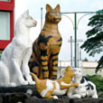 5D4N Kuching Explorer
