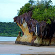 5D4N Kuching City + Semenggoh Orang Utan + Bako National Park + Longhouse Safari