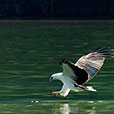 3D2N Langkawi Island & Sea Tour