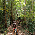 Lambir Hills National Park