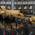 3D2N Miri City + Brunei Day Trip