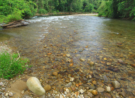 3D2N Mulu Pinnacles