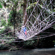 5D4N Mulu Pinnacles + Headhunter Trail