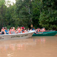 Kinabatangan River