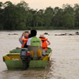Fireflies and Mangroves Cruise