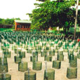 2D1N Selingan Island (Turtle Island)