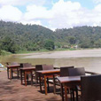 3D2N Borneo Natural Resort (Sukau Wildlife Tours)