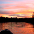 3D2N Selingan Turtle Island & Sepilok Orang Utan + Kinabatangan River