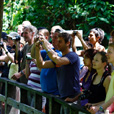 4D3N Selingan Turtle Island + Sepilok Orang Utan +  Kinabatangan River