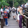 4D3N Sandakan Historical + Wildlife Tour + Selingan Island