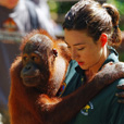5D4N Sandakan Historical + Wildlife Tour + Selingan Island