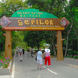 5D4N Sandakan Historical + Wildlife Tour + Selingan Island