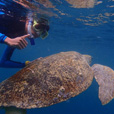 4D3N Semporna Hiking and Island Hopping