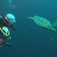Semporna Fun Diving (For Cert Diver)