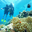 5D4N Semporna Island Hopping (2 Nights At Pom Pom Island Resort)